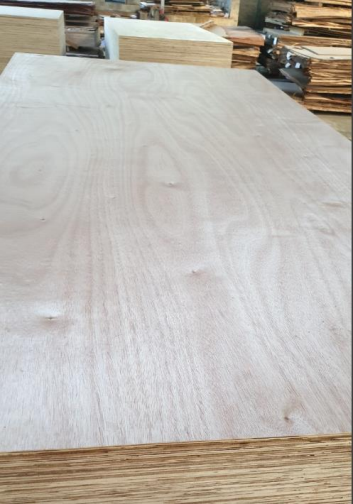 TRUNG ANH PROFILE VNpng_Page22_Image1